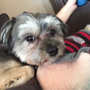 Meet your Posher, Caleb